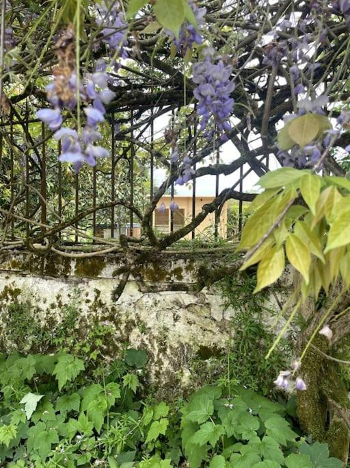 Gite Lilas Ideal Pour 4 Pers Capian Buitenkant foto